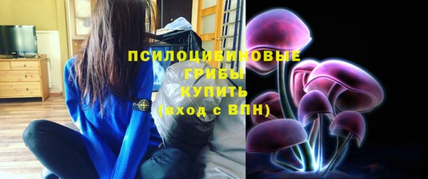 ALPHA PVP Горнозаводск