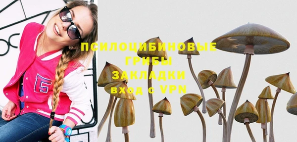 альфа пвп Гусиноозёрск